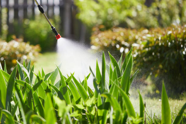 24/7 Emergency Ant Control experts in Laurens, SC